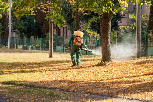 Pest Prevention Services in Millville, UT
